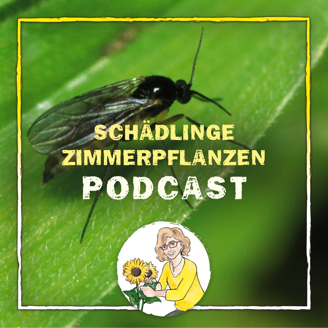 Podcast Schädlinge