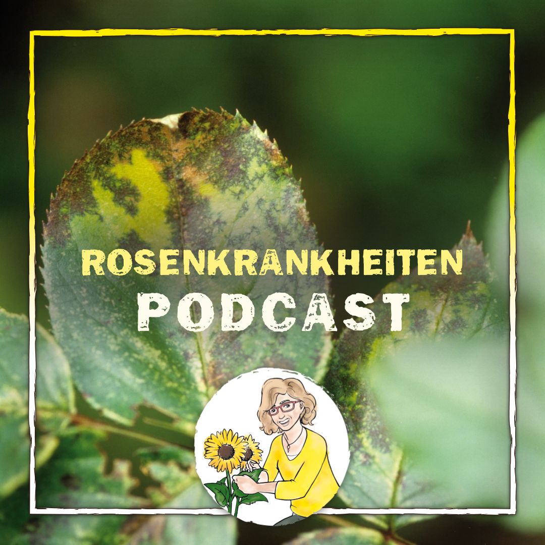 Podcast Rosenkrankheiten
