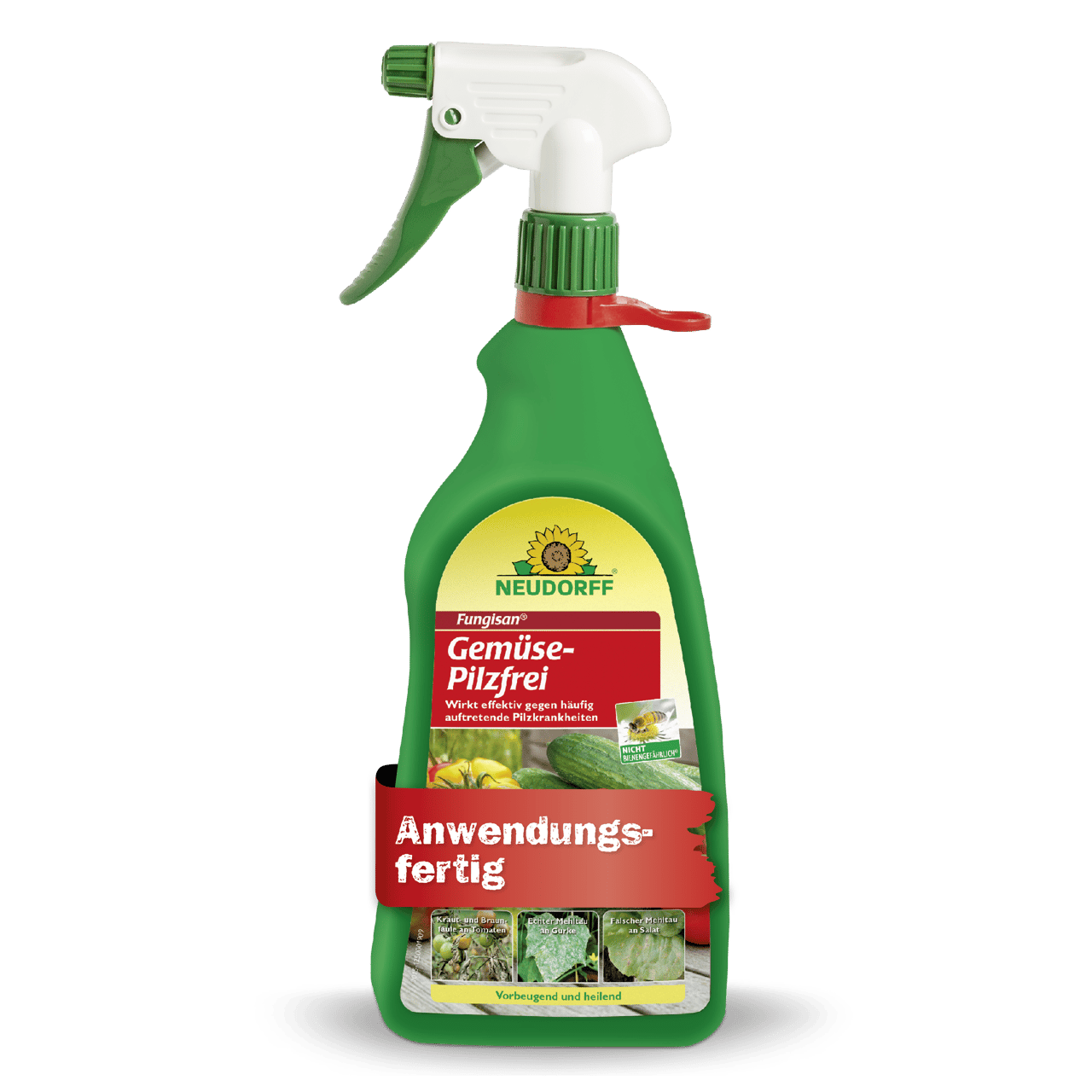 zimmerpflanze mit langen grnen blttern Grnlilie | Chlorophytum comosum