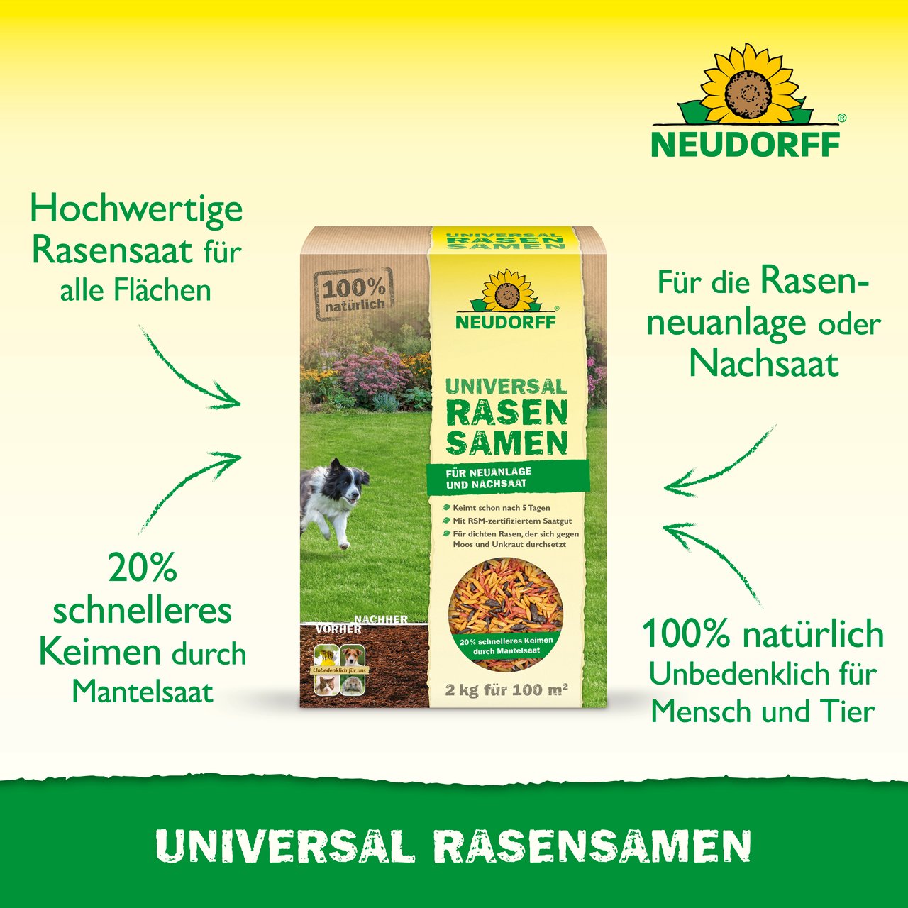 trockenrasen saatgut 1 kg VERDURMAX® Trockenrasen Samen– Höfer Chemie GmbH main image 0