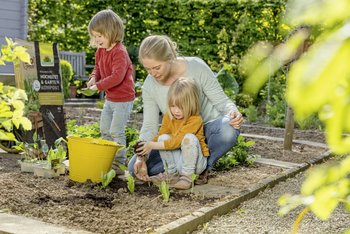 Torffreier Bio-Kompost für Hochbeet und Garten