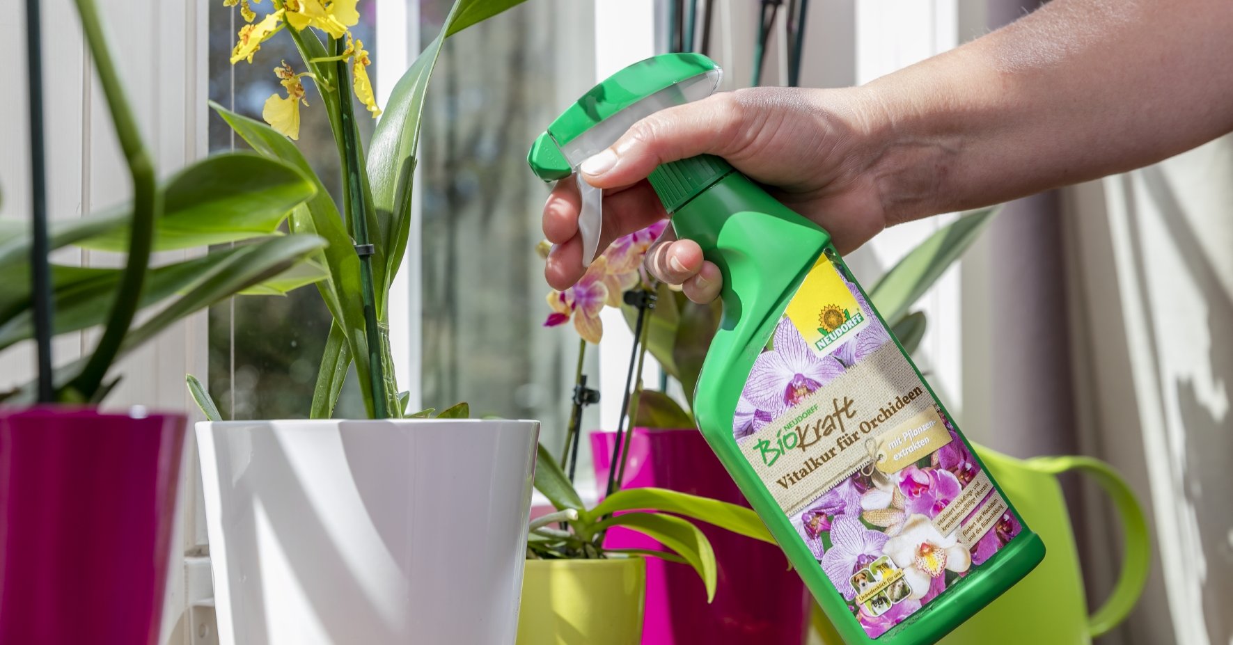 Die BioKraft Vitalkur für Orchideen stärkt eure Pflanzen