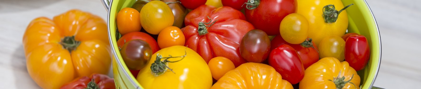 leckere knackige Tomaten