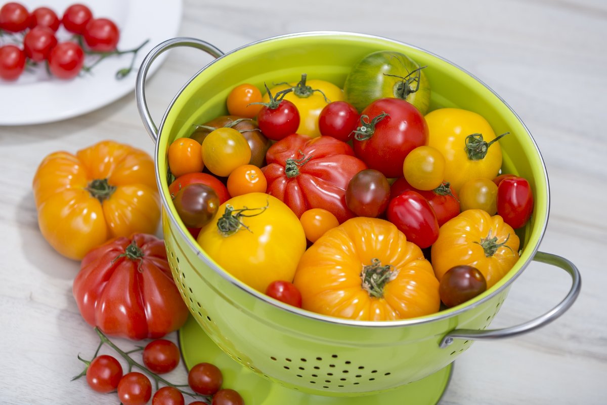 leckere knackige Tomaten