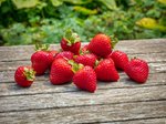 Erdbeeren pflanzen und pflegen