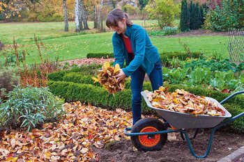 Frau verteilt Herbstlaub zur Flächenkompostierung im Garten