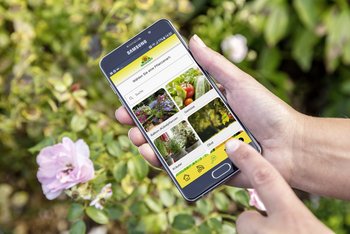 Digitale Hilfe für Garten und Balkon - Neudorffs Pflanzendoktor-App erhält Bestnote für Serviceangebot