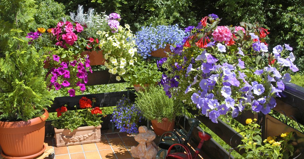 Sommer Balkon mit Pflanzen