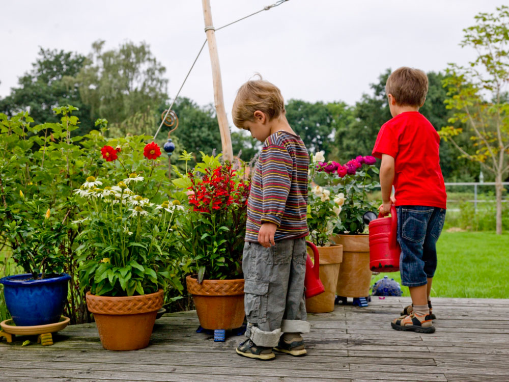 Kinder gießen Kübelpflanzen auf der Terrasse
