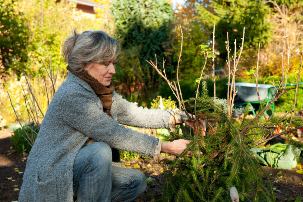 Frau bereitet Pflanzen auf den Winter vor 