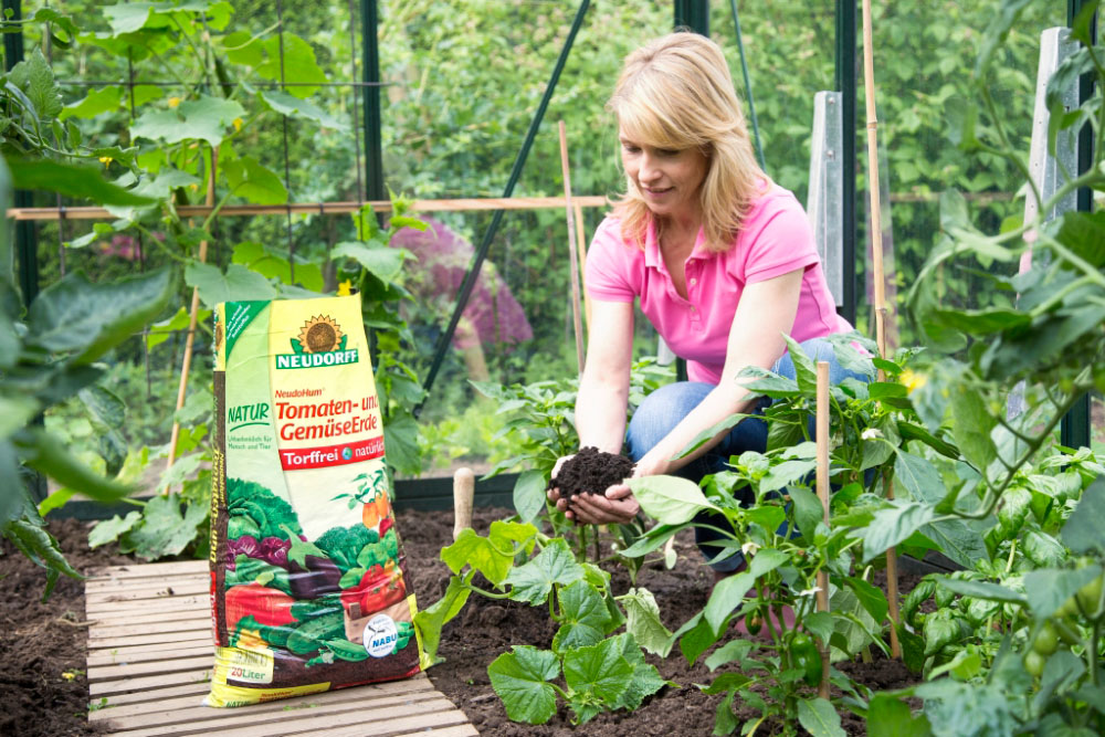 Junge Gemüsepflanzen werden in NeudoHum Tomaten- und GemüseErde umgepflanzt