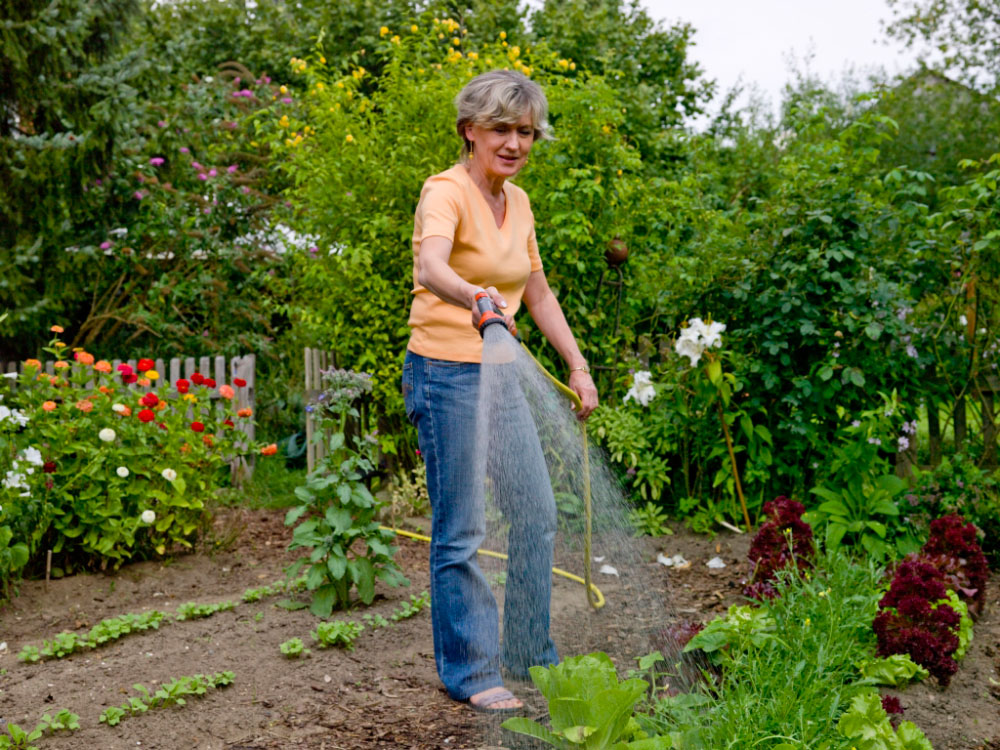 Frau wässert den Gemüsegarten