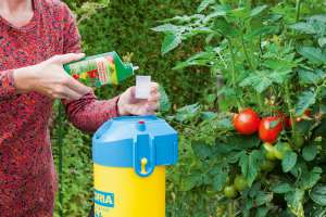 Tomaten werden mit Neudosan Obst&GemüseSchädlingsFrei gegen Blattlausbefall gespritzt