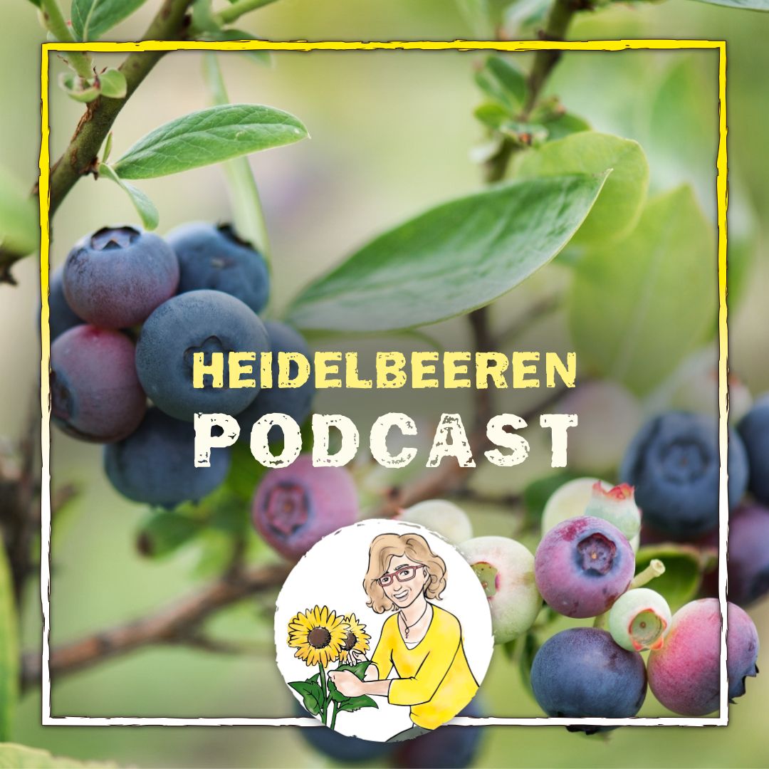 Podcast Heidelbeeren