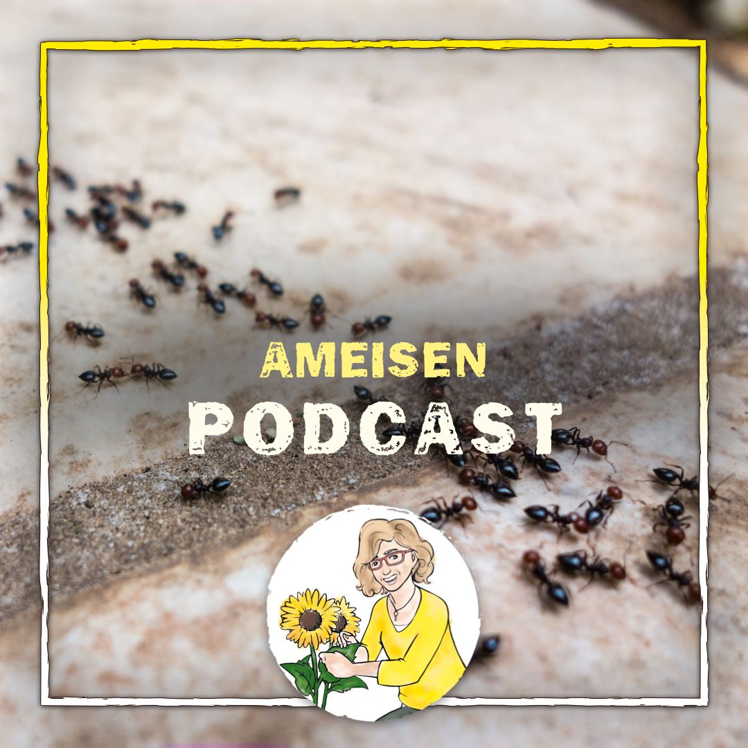 Podcast Ameisen im Garten