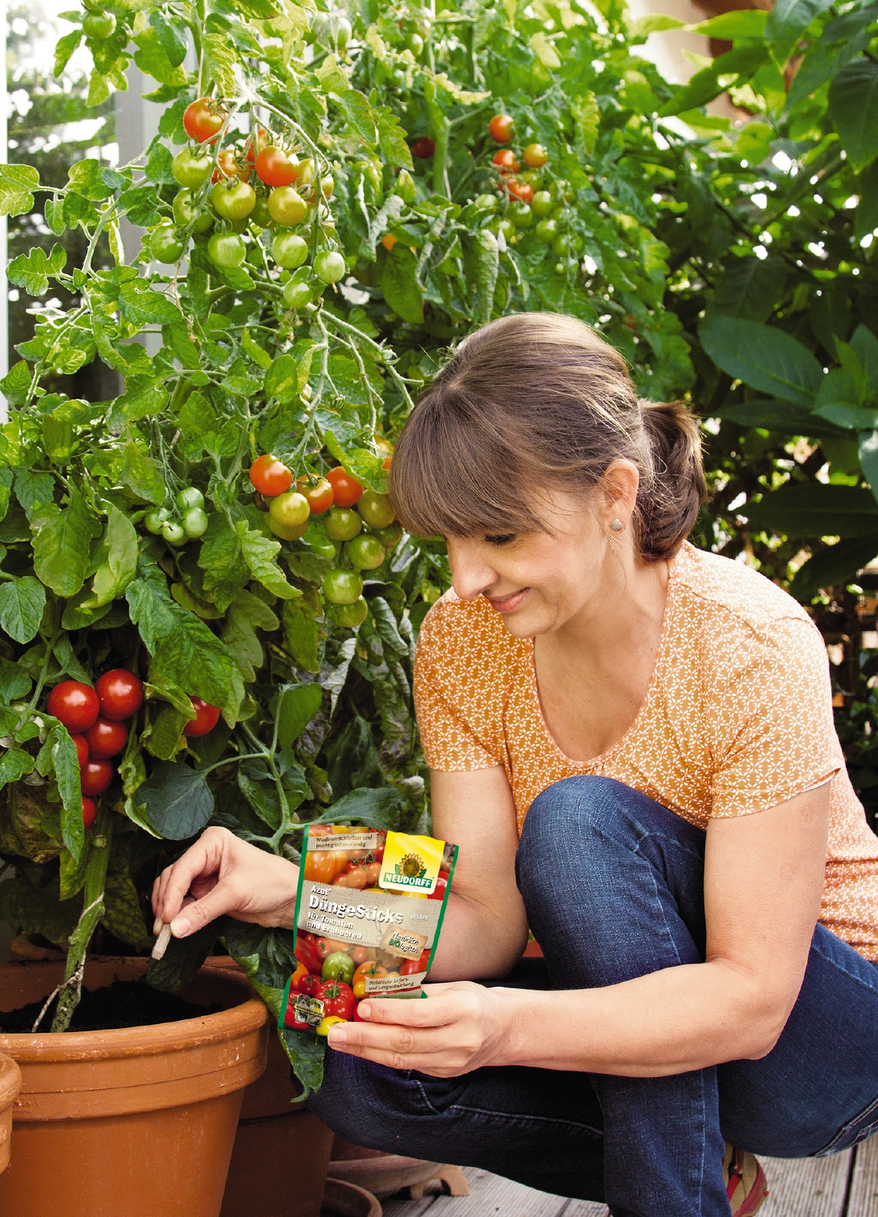 Balkon-Tomaten werden mit Azet DüngeSticks für Tomaten und Erdbeeren gedüngt