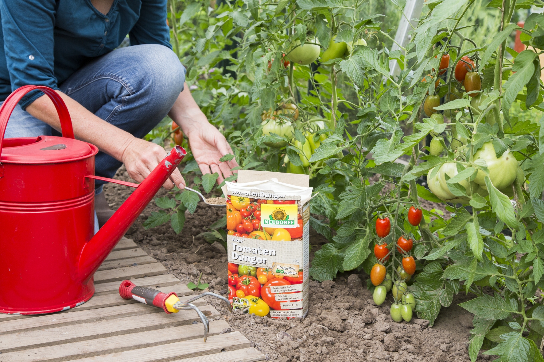 Starkzehrende Gemüsepflanzen werden mit Azet TomatenDünger gedüngt