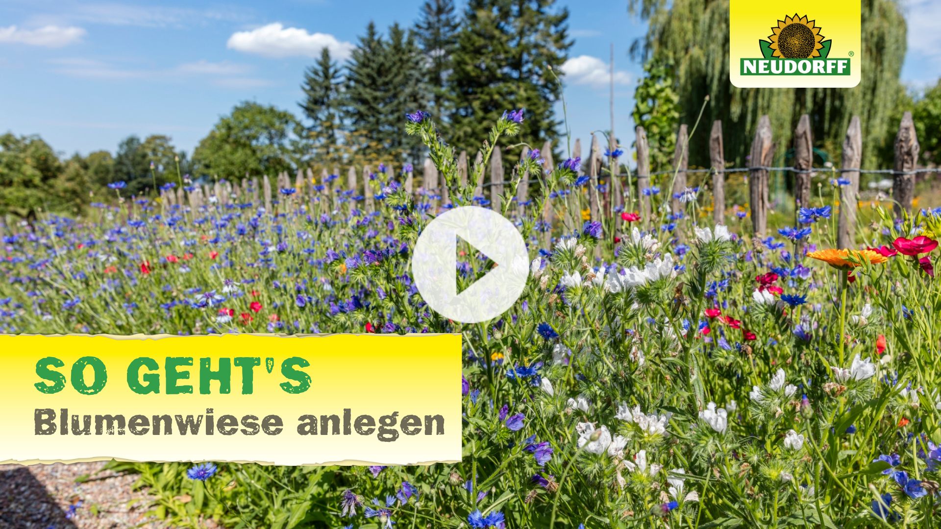 Video Blumenwiese anlegen – Anleitung