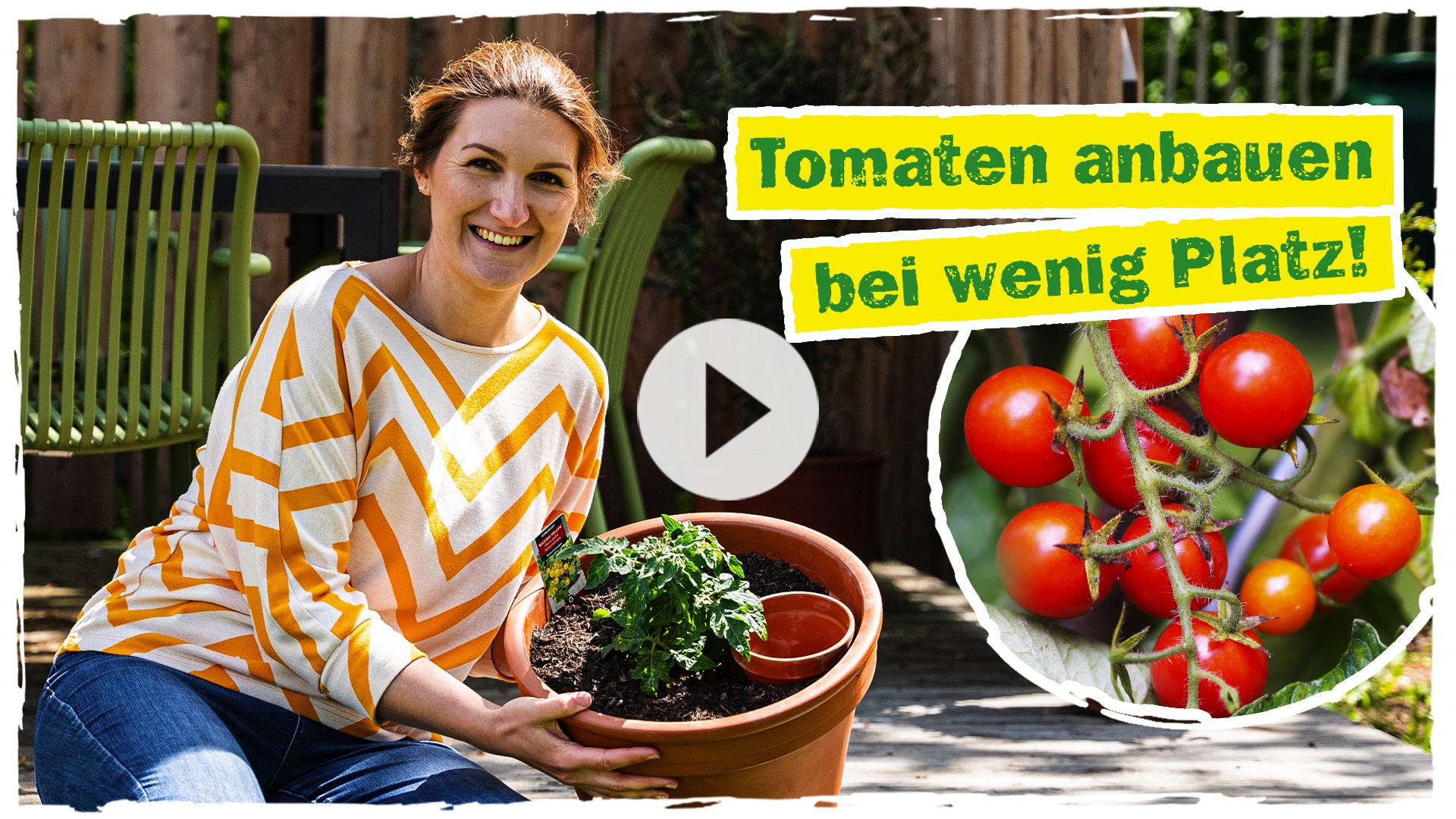 Tomaten anbauen