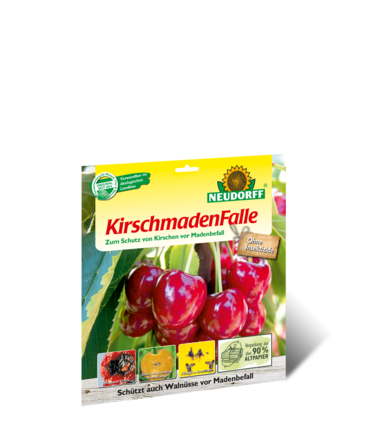 kirschmadenfalle_02.png