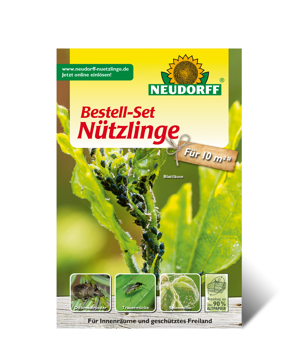 Neudorff nützlinge contro insetti 